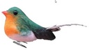 Vogeltjes Robin MET CLIP pak12 mooie vogeltjes