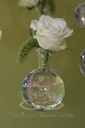 Glas Bolvaasjes 6.6 cm DOOS 25+2 stuks om te hangen
