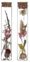 A-022612 Reageerbuisjes glas met.webp