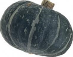 Dolcevera F1 / Ebisu F1 kabocha pompoen 50 zaden