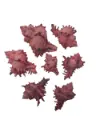 Murex Indivia schelpen Pink washed 250 gram