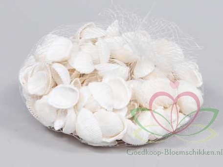 Anadara Transversa schelpen mini Kokkel 350 gram