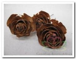 Cederroos op draad doos ca. 70 stuks