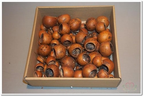 Kuchipal los 100 stuks 