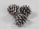 Dennenappels Pinecone Snow op draad ca. 4,5cm Bundel van 3