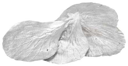 Cobra blad Zilver ca. 20 stuks