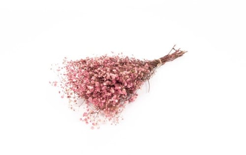 Geprepareerd Gepreserveerd Gipskruid Berry Roze 60 cm 55 gr