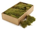 Platmos Gedroogd 500 gram