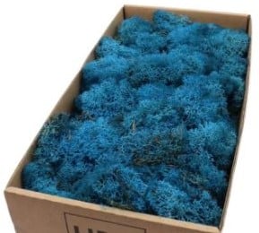 Rendiermos IJslandsmos Finlandsmos Blauw 500 gram