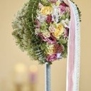 OASIS® Bioline DecoStick Bol 15 cm op stok Bal steekschuim op stok