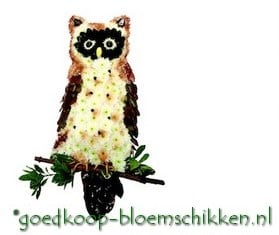 Uil steekschuimvorm oase voor verse bloemen