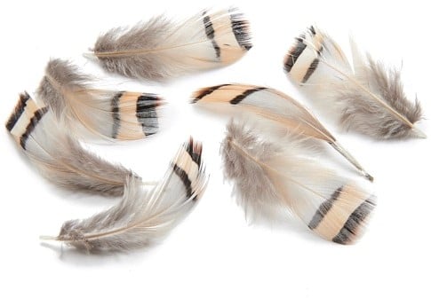 Patrijsveertjes Gestreept Echte veertjes 4-8 cm pakje 15 gram