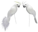 Papegaaien Wit 18 cm 4 stuks