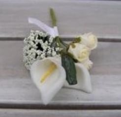 Fieldberries Rood bundel