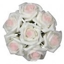 Foamroos Emilia Cremeroze 6 cm doos 42 stuks