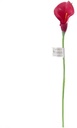 Calla Real Touch Rood 7 cm 37 cm lang per stuk