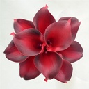 Calla Real Touch Dieprood 7 cm 37 cm per stuk