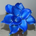 Calla Real Touch Licht Blue 7 cm 37 cm lang per stuk