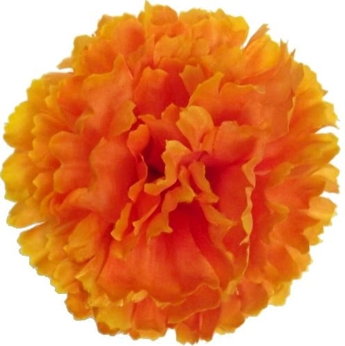 Anjerpick Oranje Zijdenbloem per stuk