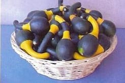 Koshare Spoon Kalebas 250 zaden