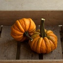 Kalebas Nr. 32-31 250 zaden