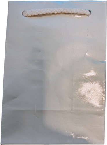 Bloementasje geschenktas Zilver semi waterafstotend 14x10x6 cm