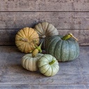 Tutti Frutti Mixed pompoen kleinverpakking zaden