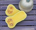 JWS 6823 F1 Bio Butternut Flespompoen 1000 zaden