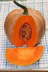 Anvers pompoen 1000 zaden