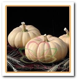 Autumn Crown F1 muskaatpompoen zaden