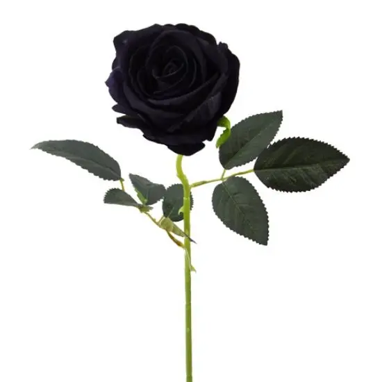 Roos Open Zwart Zijdenbloem 52 cm per stuk