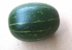 [A-000956] Cucurbita Andreana  Groene granaatkomkommer Sierkomkommertjes