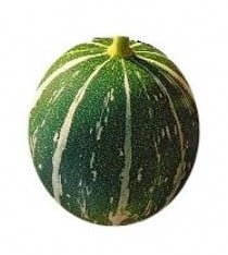 [A-002575] Cucumis foetidissima Buffalo Gourd-Andreana Sierkomkommertjes