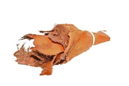 [A-006484] Palmblad Bakla Kokosblad Bruin 10 stuks