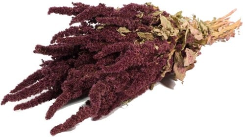 [A-014730] Amaranthus natural Rood Kattenstaart
