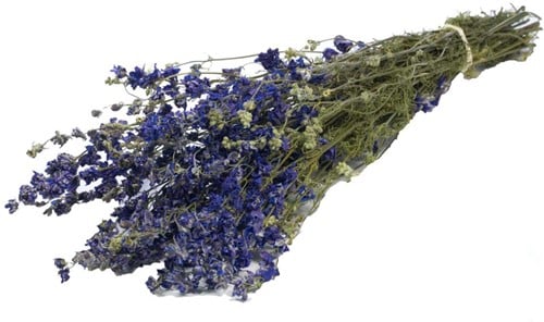 [A-014733] Delphinium droogbloem Blue Naturel
