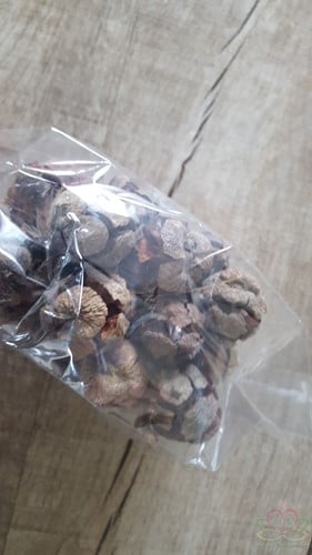 [A-015157] Pinus Cypressus Terracotta ca. 200 gram ca. 45 stuks kleinverpakking