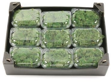 [A-022098] Rendiermos IJslandsmos Finlandsmos Mosgroen 50 gram