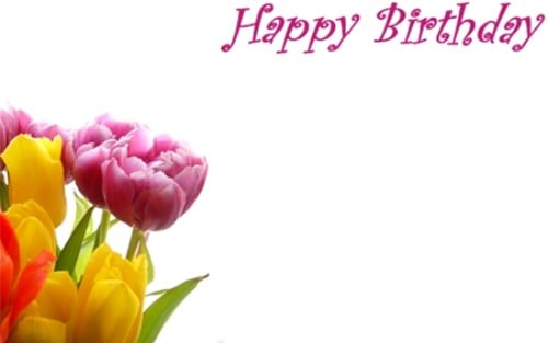 [A-027462] Bloemenkaartjes 50 HAPPY EASTER - CHICKS Wenskaarten