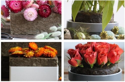[A-022277] Sideau Natural Floral foam™ Agrawool Slab Plaat 59x40x6 cm voor verse, droog en kunstbloemen en om te stekken