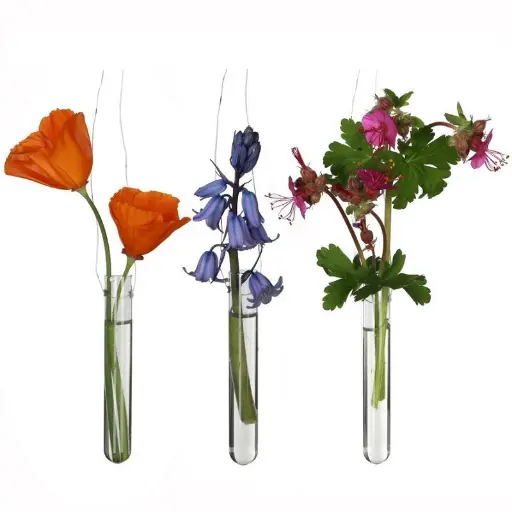 [A-010216] Reageerbuisjes glas 2 gaatjes 10 cm Ø1.5 cm set 12 stuks