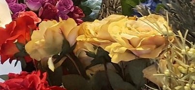 [A-013060] Zijden Roos Groot Geel Cava 75 cm per stuk