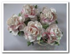 [A-006966] Mulberry Roos Old White SoftPink 3,5 cm pak 50 stuks