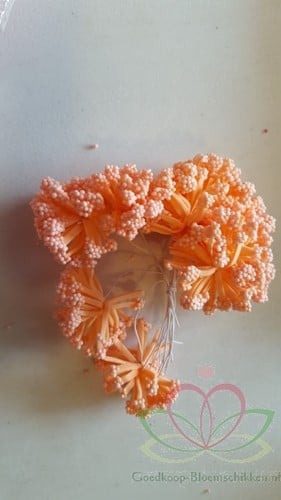 [A-014153] Fieldberries Zalm Oranje New Style bundel 12 stuks
