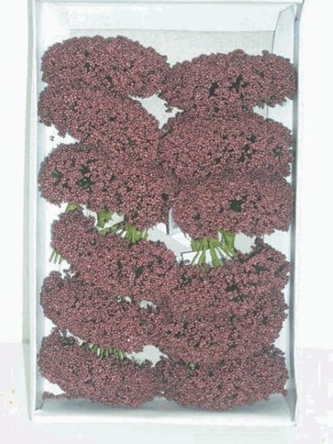 [A-015728] Fieldberries Bordeaux doosje