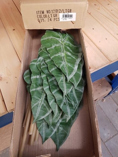 [A-019938] Alocasiablad Groen Zijdenblad per stuk