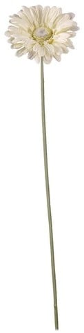 [A-024554] Gerbera 54 cm Creme Zijden bloemen / st 