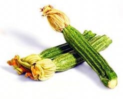 [A-000530] Costata Romanesco Courgette