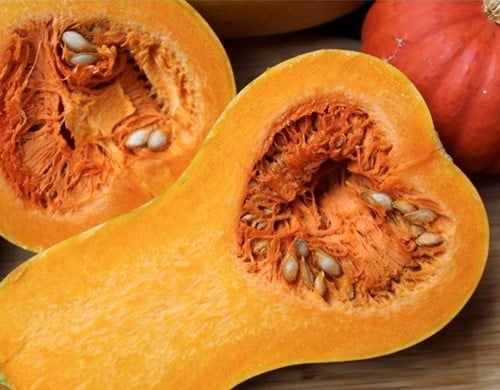 [A-023697-3] Butternut Pancho F1 Hoge productie flespompoen 50 zaden