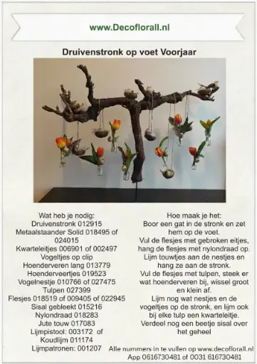 [A-027937] Druivenstronk op voet Voorjaar Stel zelf je pakket samen 